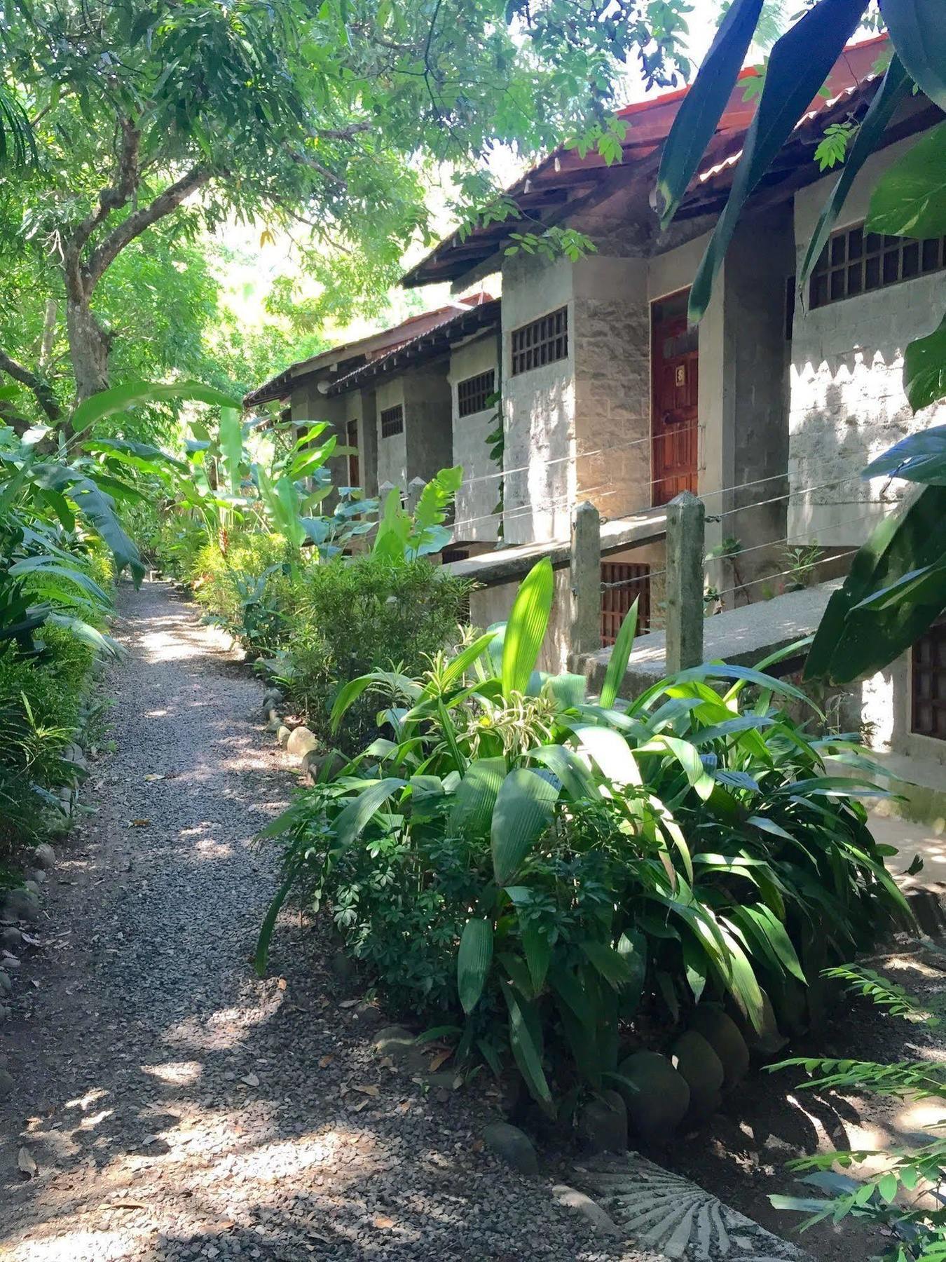 Luz De Mono Hotel Montezuma Kültér fotó